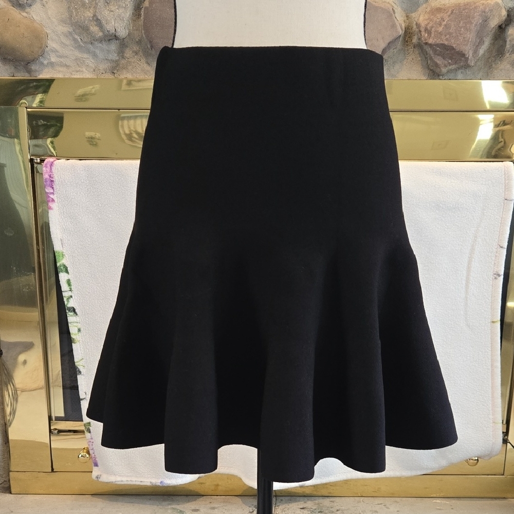 Express Black A-Line Skirt